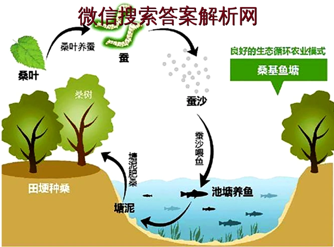建造的一种挖深鱼塘,垫高基田,塘基植桑,塘内养鱼的高效人工生态系统
