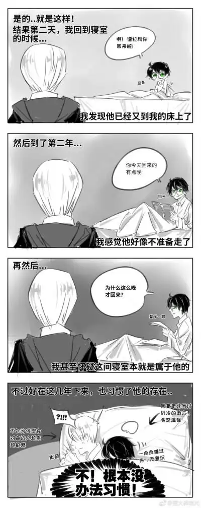 德哈- 堆糖,美图壁纸兴趣社区