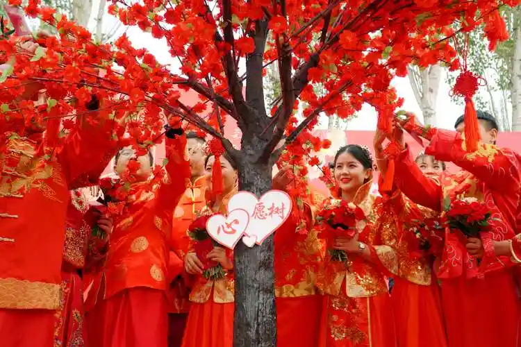 婚事简办,喜事新办,金凤区举办第五届移风易俗集体婚礼