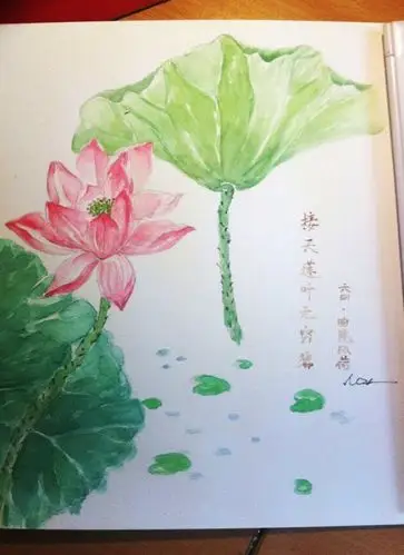 曲院风荷写生志. 水彩荷花.