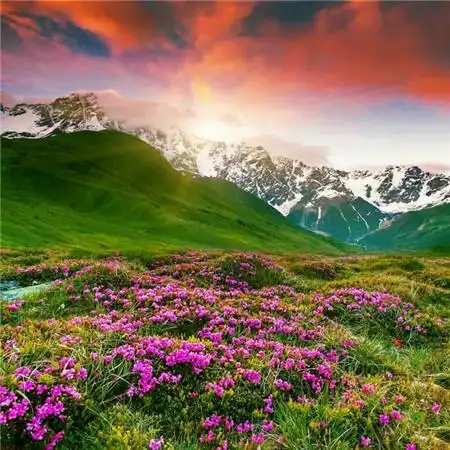 适合做头像的图片小清新117张_微信头像_头像屋