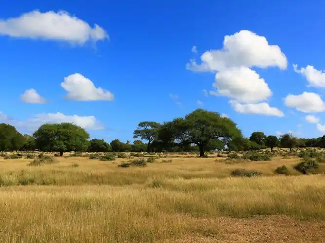 非洲历险记 读后感(非洲历险记读后感四年级) _晶羽文学网