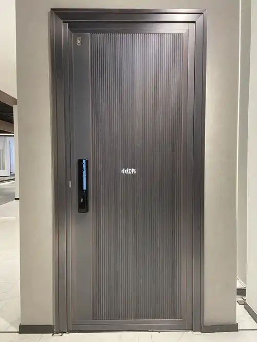 步阳甲级进户门  #极简风格#  质高价不贵 你心动了没