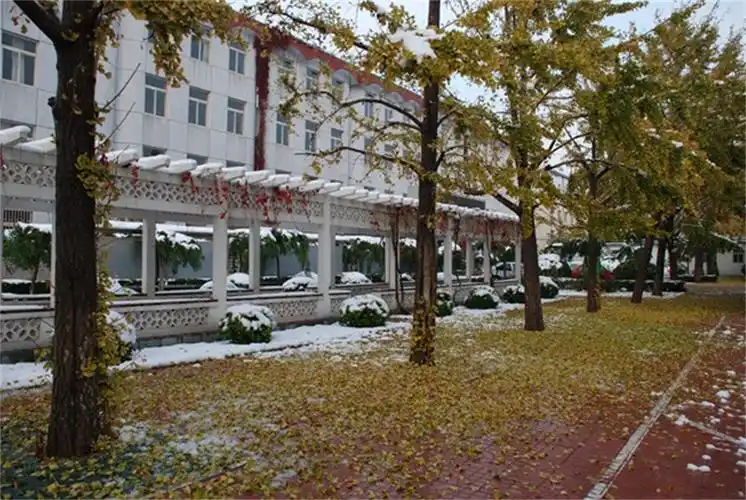 p>北京市第十七中学(beijing no.