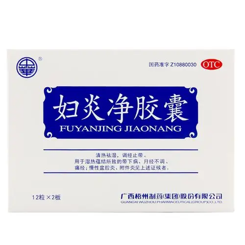 中华 妇炎净胶囊 0.4g*24粒/盒