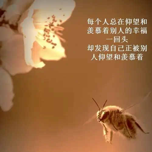 哲理文字头像人生如梦岁月无情