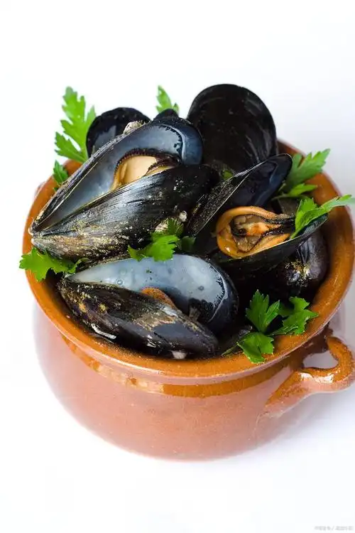 揭秘海茄子和海参的区别,你真的懂它们吗?