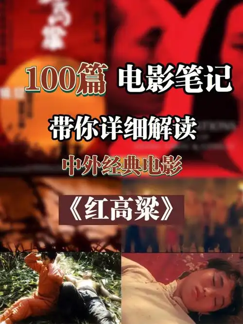 100篇中外经典电影笔记详细解读红高粱