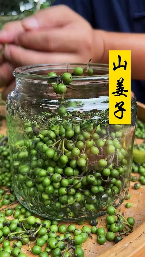 山姜子小时候的玩具长大之后才知道它有不同的价值