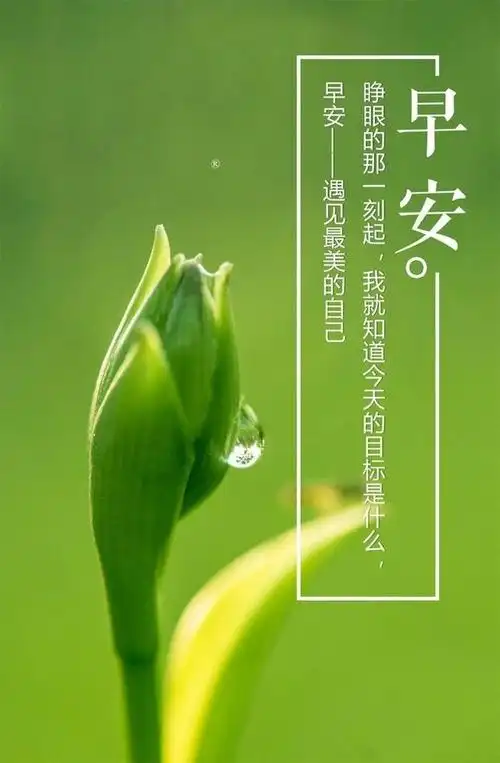 早安心语正能量:让勤奋打败懒惰,让坚强打败脆弱