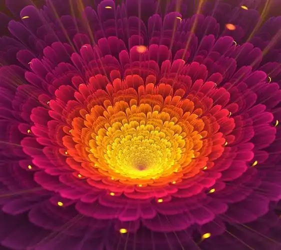 花 梦幻 魔幻 美丽 漂亮 视觉 遐想