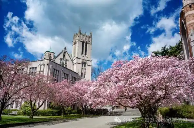 商科|分校|华盛顿大学_网易订阅