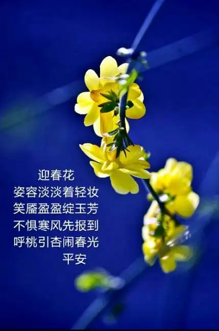 宋刘敞《迎春花》  秾李繁桃刮眼明,  东风先入九重城.  黄花翠