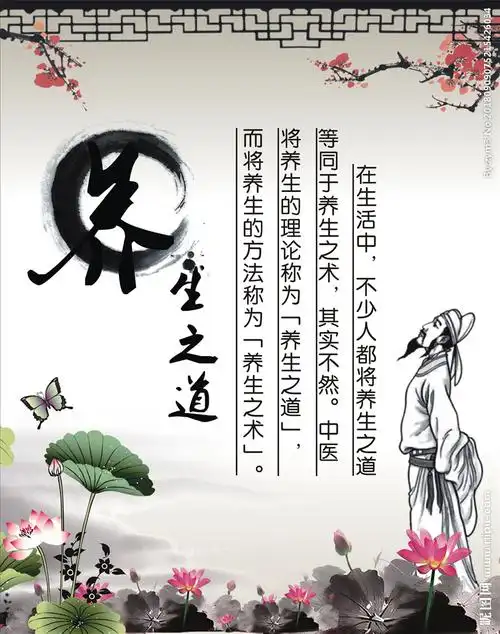 养生之道图片