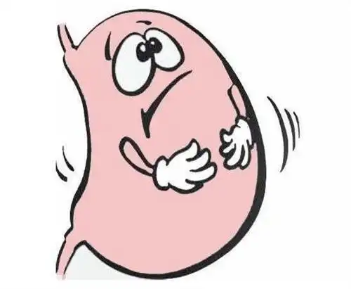 菠菜会导致胃胀气的么