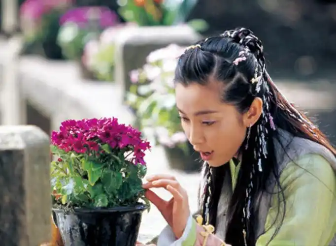 古风丽人# 李冰冰 好像是《机灵小不懂》里的扮相