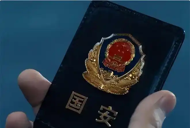 为了揪出这位科研团队之中的害群之马,为了惩治这个告密的蛀虫,国安局