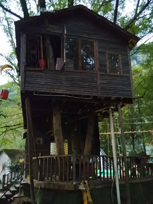 树枝上搭一个房子,应该叫树屋,住树屋的不是一般的人,应该叫神人.