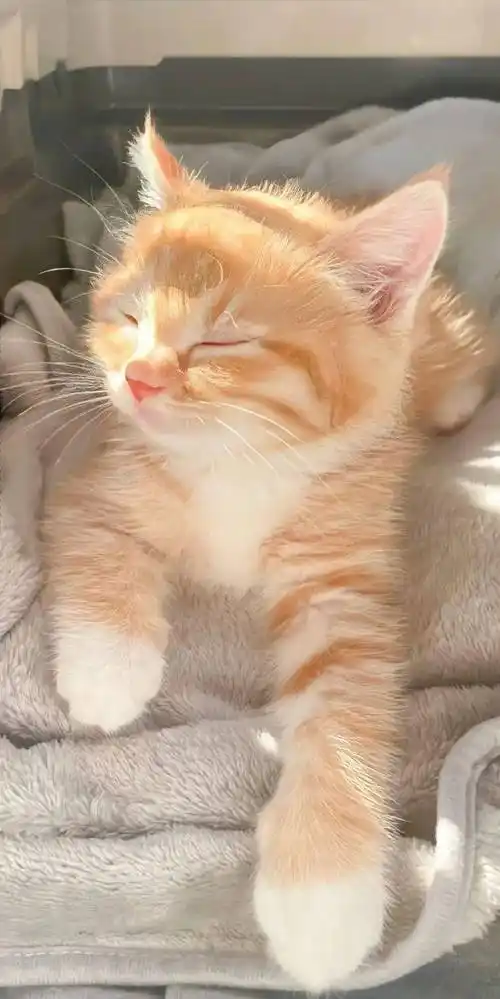 壁纸 | 4k全新全屏壁纸