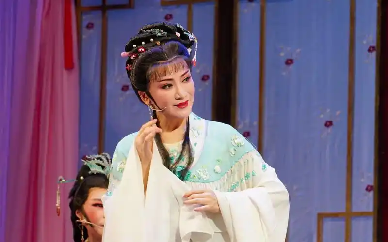 2020823宜兴大剧院红楼梦王志萍部分cut