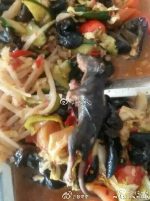 有图慎点山东一高中食堂吃出整只老鼠图