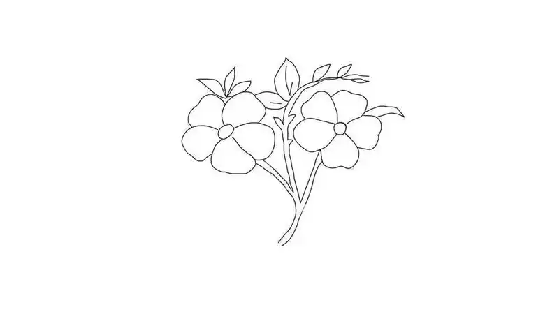 紫罗兰简笔画的画法