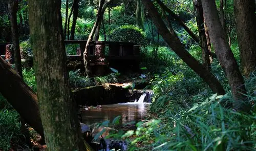 杭州半山国家森林公园驴游攻略