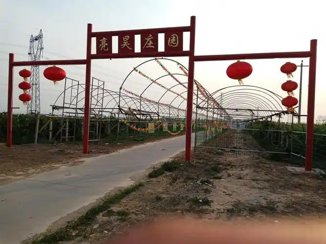 亮昊葡萄采摘园