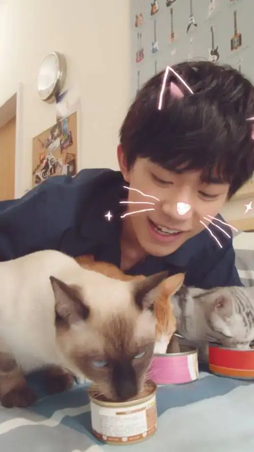 易烊千玺的猫【相关词_易烊千玺的猫叫什么】