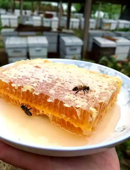 蜂巢蜜:年轻人养生的新选择