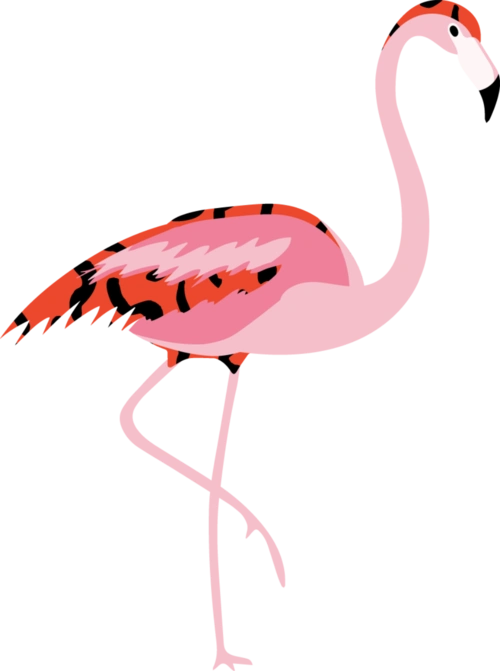 火烈鸟手绘图片大全