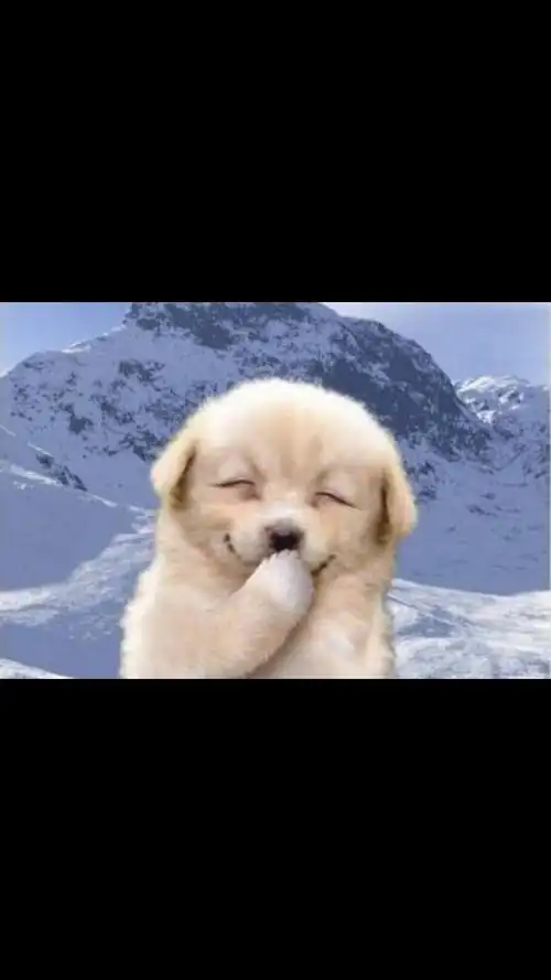 啥事儿笑那么开心