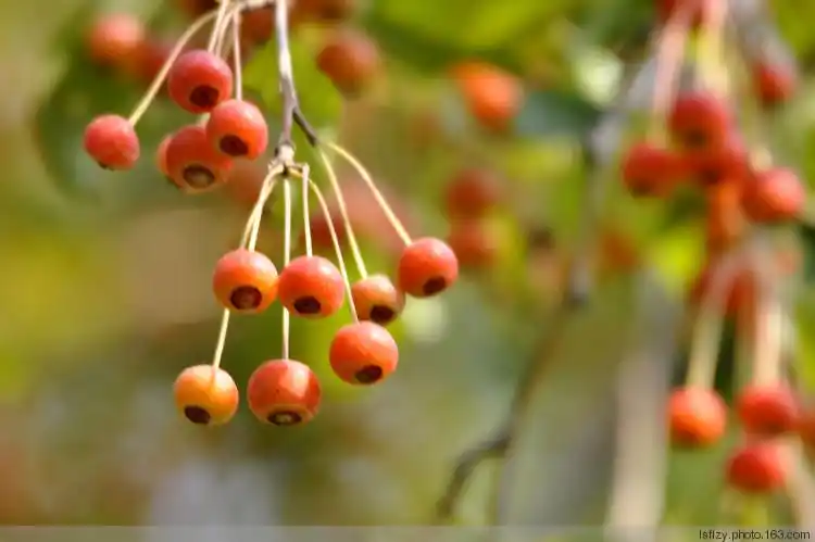 金城十八子的博客