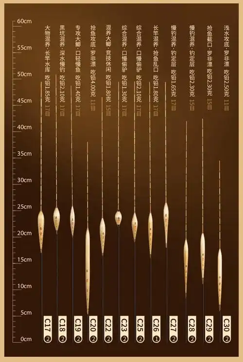 船长浮漂c芦苇套装高灵敏加粗醒目黑坑鲤鱼鲫鱼漂浮标