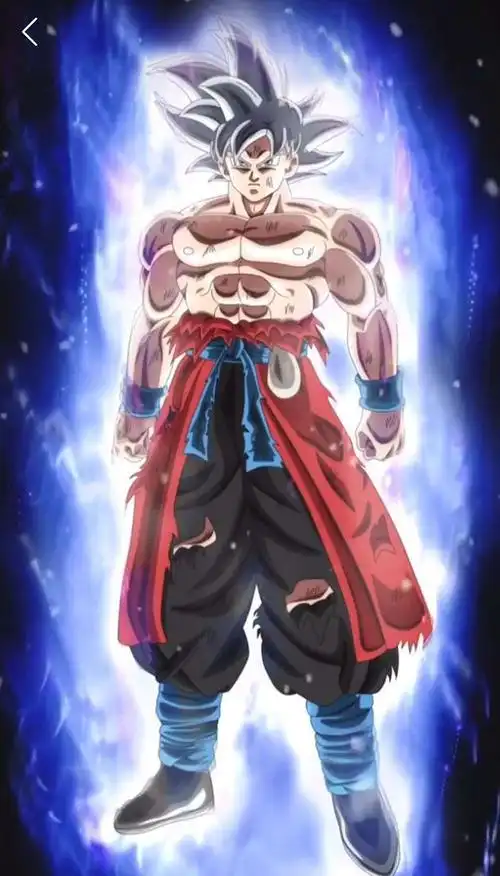 龙珠图集自在极意功图集贝吉塔领悟自在极意功