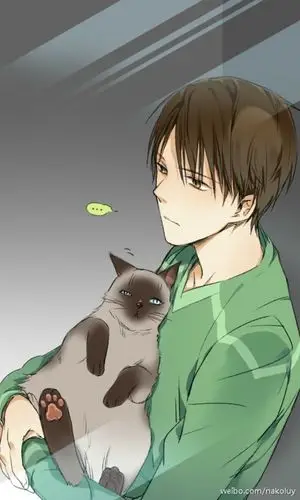 〈全职高手〉王杰希.