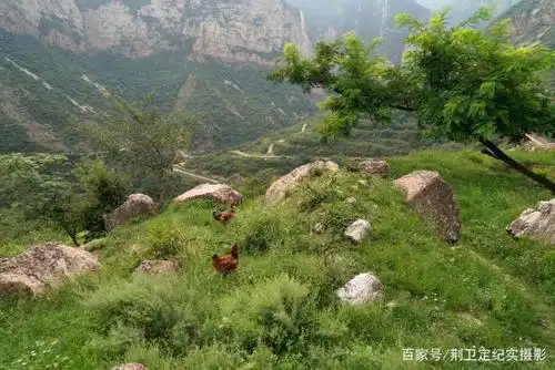 山西运城深山发现世外桃源,4户人家小山村如画田园,看美成啥样
