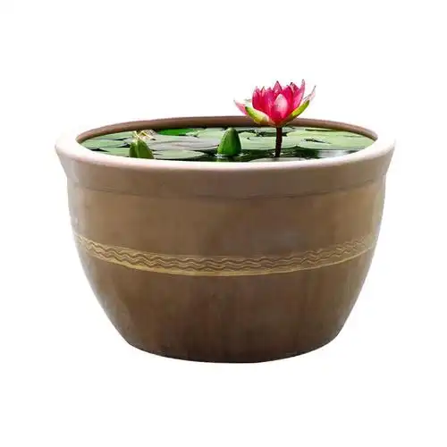 水缸粗陶地缸家用厨房养鱼庭院储水罐陶瓷清仓大睡莲荷花酸菜缸小