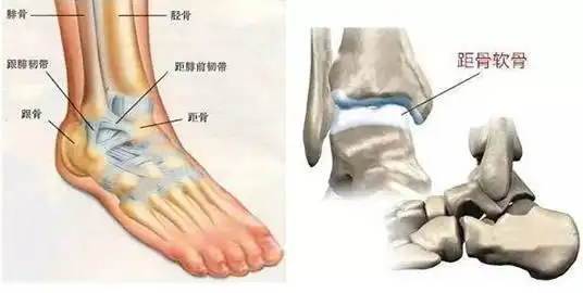 严查学生露脚踝,为什么是怎么回事哪个学校