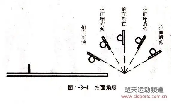 乒乓球拍中最佳击球部位在哪里