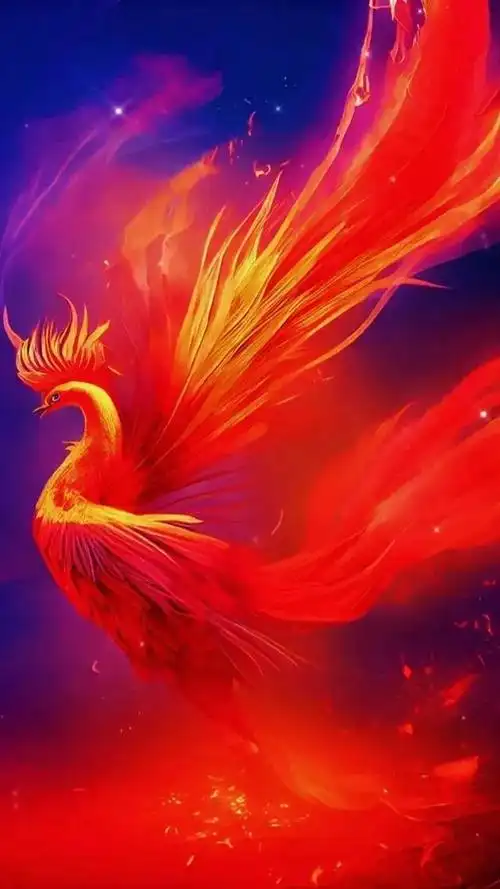 凤凰壁纸之凤舞九天
