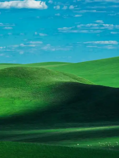 1080_1439竖版 竖屏