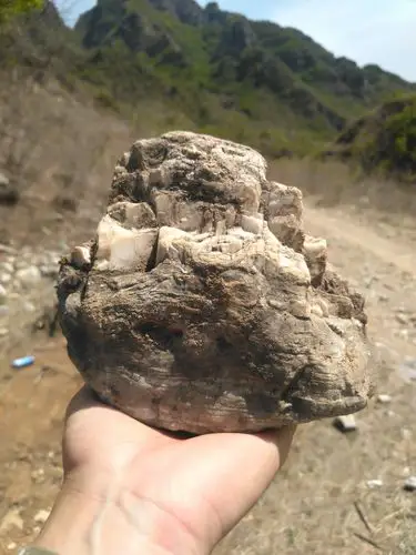 我的收藏-太行山奇石