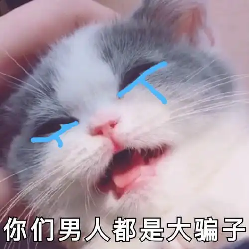 萌宠 猫星人 你们男人都是骗子 生气 呆萌 可爱