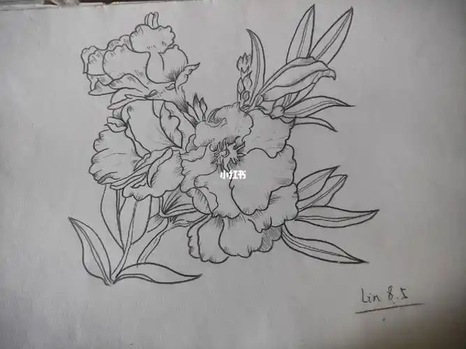 花卉铅笔画