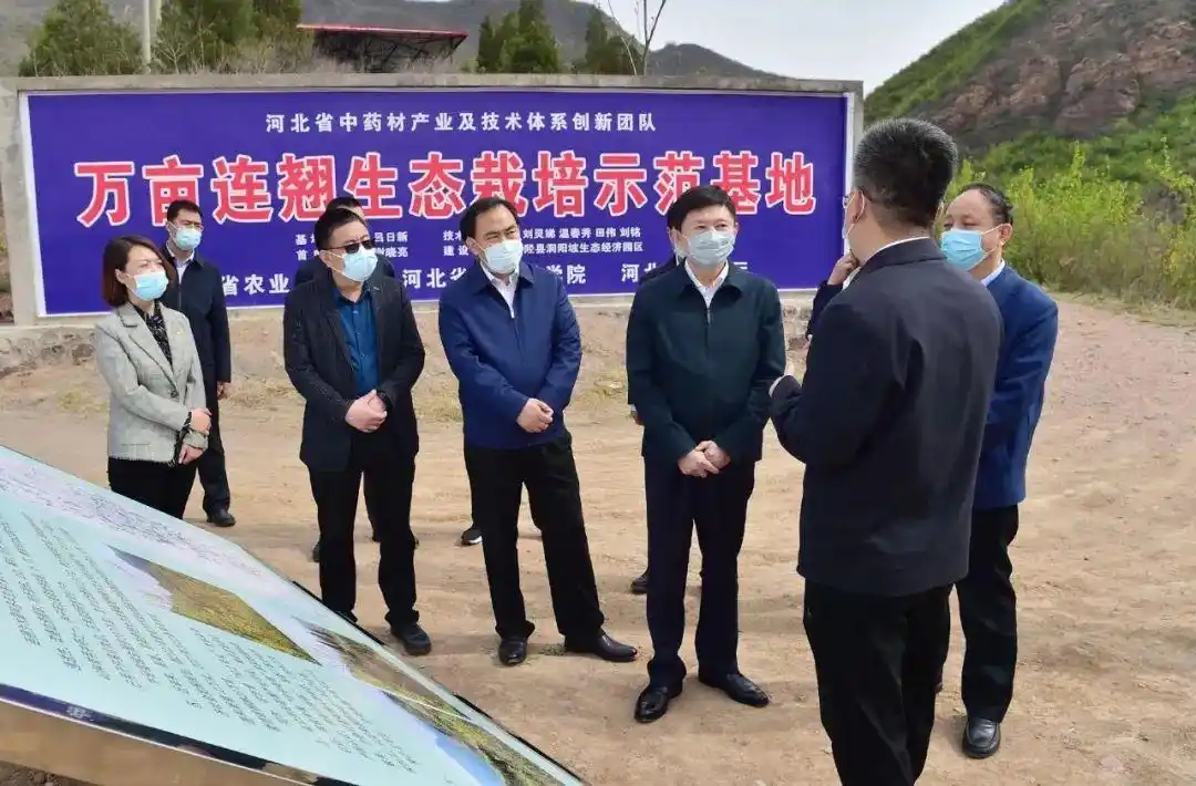 邢国辉到井陉县元氏县赞皇县调研检查_政务_澎湃新闻-the paper