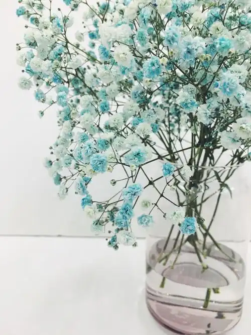 满天星 - 堆糖,美图壁纸兴趣社区