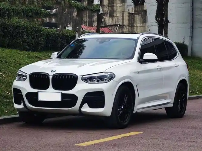 宝马 宝马x3  2020款 xdrive28i 豪华套装图片