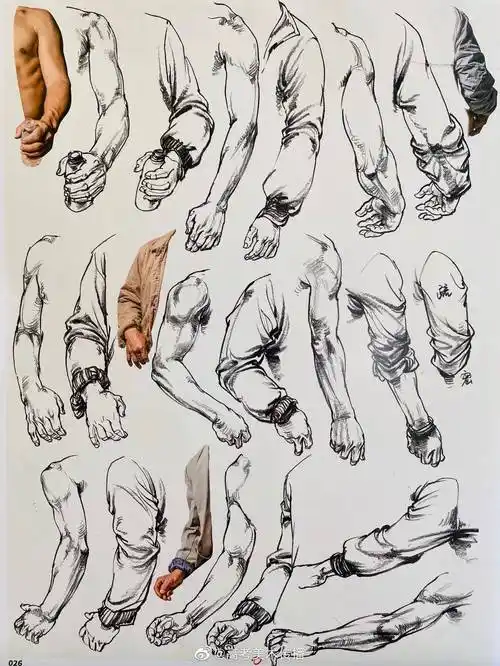 【速写】手臂 胳膊干货码住收藏呦~_美术_高考_传播