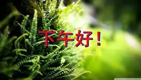 下午好问候语温馨周末祝福